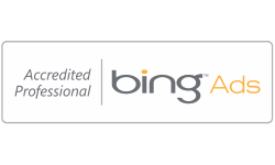 Bing ads accredited professional